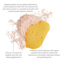EVOLVE | ENZYME + VITAMIN C CLEANSER POWDER 70G
