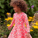 FRUGI Sofia Skater Dress, Pink Piskie Magic