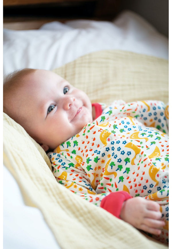 Lovely Babygrow, Lovely Springtime Geese