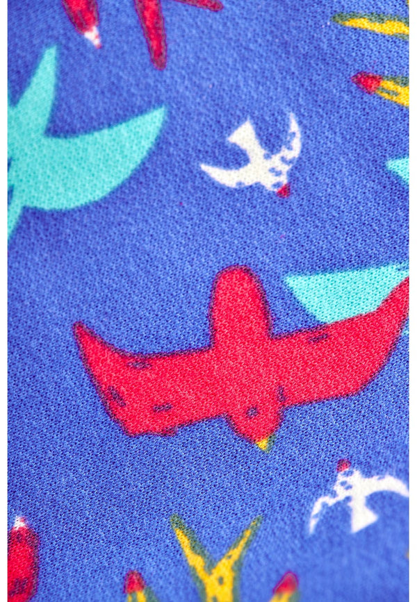 Rex Jumper - Rainbow Flight