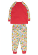 Jamie Jim Jams, Lovely Springtime Geese