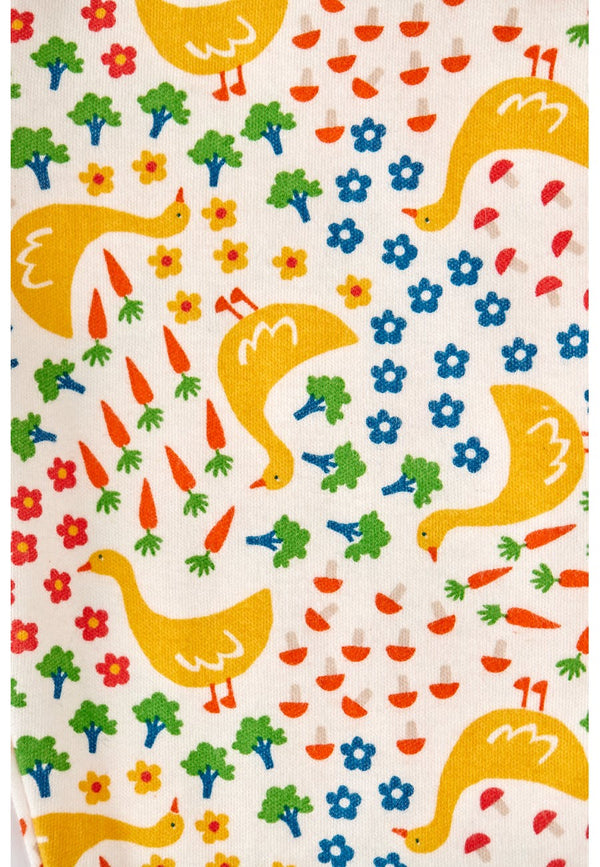 Jamie Jim Jams, Lovely Springtime Geese