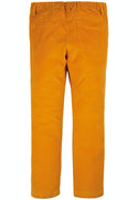 Cathy Cord Jeggings