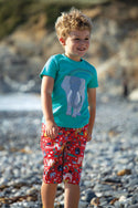 Carsen Applique T-shirt, Aqua Elephant