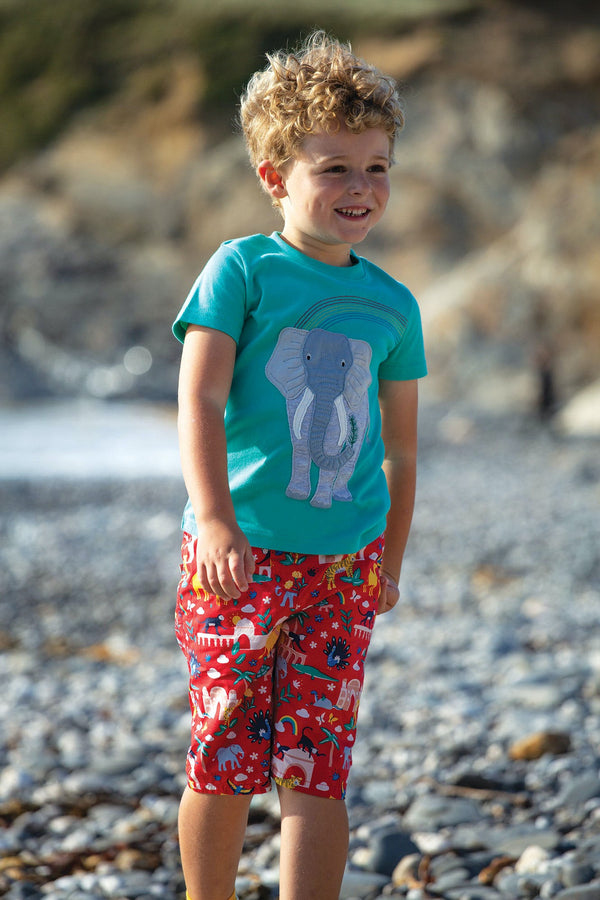 Carsen Applique T-shirt, Aqua Elephant