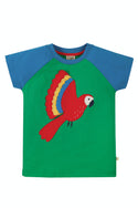 Rafe Raglan T-shirt, Glen Green Parakeets, 6-7 years (LAST PIECE)