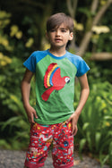 Rafe Raglan T-shirt, Glen Green Parakeets, 6-7 years (LAST PIECE)