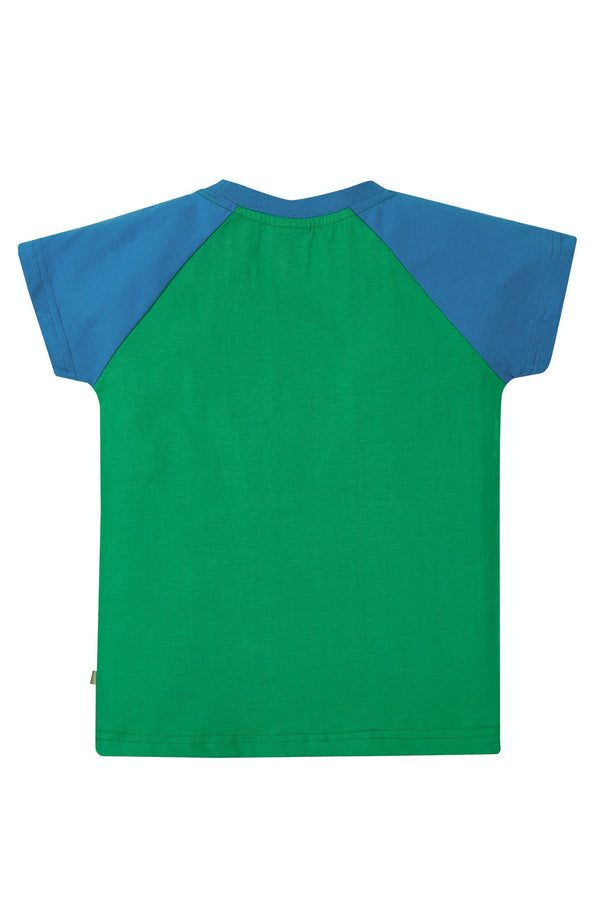 Rafe Raglan T-shirt, Glen Green Parakeets, 6-7 years (LAST PIECE)