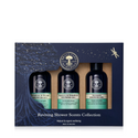 Reviving Shower Scents Collection 2023