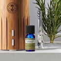 Aromatherapy Blend Essential Oil - Optimism 10ml BATCH 24