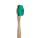 Georganics Beechwood Toothbrush