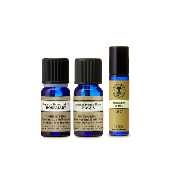 Focus Set - Aromatherapy Blend Focus Essential Oil, Rosemary Essential Oil and Study Remedies to Roll