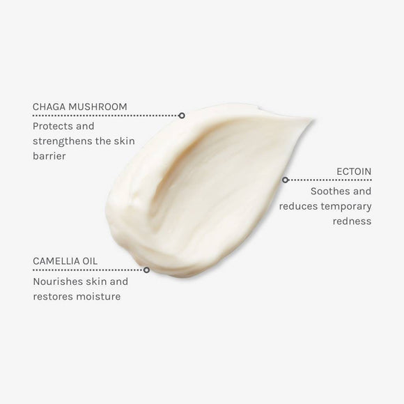 Evolve | Pro+ Ectoin Soothing Cream 60ml (BBE 11/26)