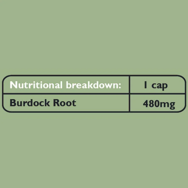 FUSHI Organic Burdock Root