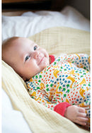 Lovely Babygrow, Lovely Springtime Geese-2