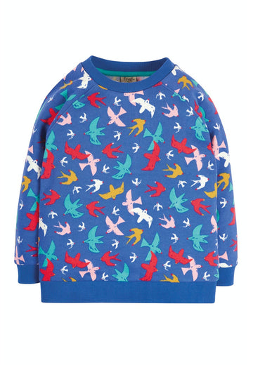 Rex Jumper - Rainbow Flight - Simple Wellness 
