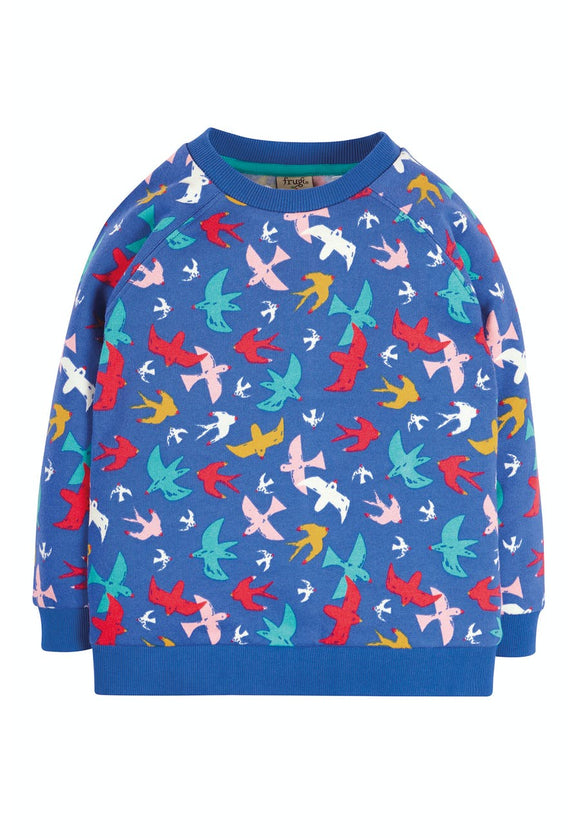 Rex Jumper - Rainbow Flight - Simple Wellness 