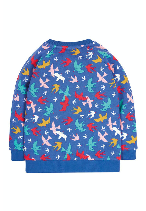 Rex Jumper - Rainbow Flight - Simple Wellness 