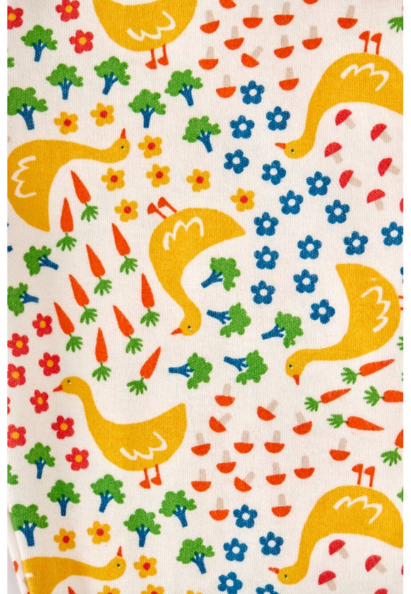 Jamie Jim Jams, Lovely Springtime Geese