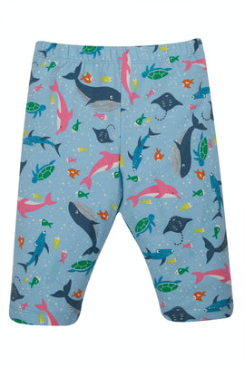 Laurie Shorts, Bengal Bay, 7-8 YRS (LAST PIECE)