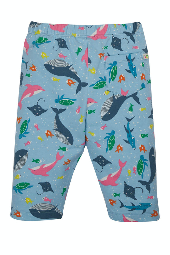 Laurie Shorts, Bengal Bay, 7-8 YRS (LAST PIECE)