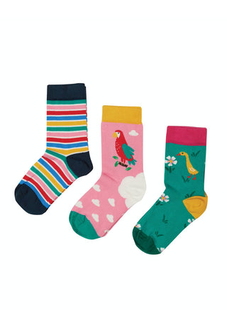 Rock My Socks 3 Pack, Mid Pink/Parrot