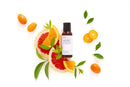 Evolve | African Orange Aromatic Hand & Body Wash - Travel Size-2